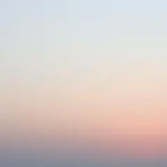 ゆ様　ZARAブラックダウンジャケット