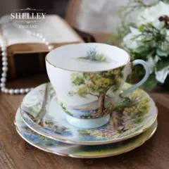 シェリー ③ ダフォディルタイム 水仙 風景画 カップ ビンテージ
