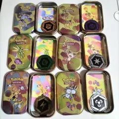 海外限定】ブラッキー ダメカンケース mini tin コイン付き ポケカ
