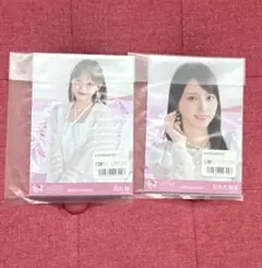 【りーす様専用】