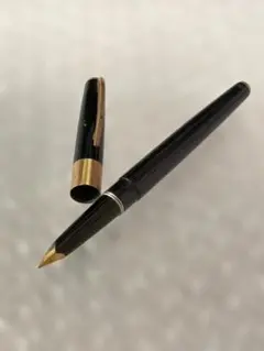 PLUTINUM（プラチナ）ペン先 14K 細字 万年筆 ブラック ゴールド
