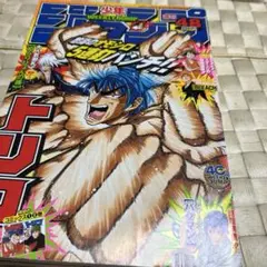 週刊少年ジャンプ 2008年25号 トリコ新連載 綴込み付録ワンピース