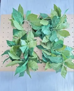 Item thumbnail for item e5457c7e-a6fe-4410-9734-20823f0f6f12