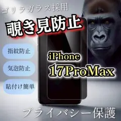 プライバシー保護【iPhone17ProMax】覗き見防止フィルム　ゴリラガラス