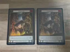 Flesh and Blood Unmovable ２枚 PR fab