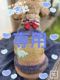 恐竜モチーフのニットセーター