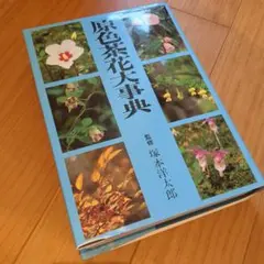 2026年最新】茶花大事典の人気アイテム - メルカリ