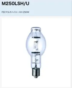 IWASAKI アイ水銀ランプ HF200X 200W 2個セット - メルカリ