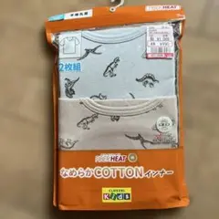 ボーイズ恐竜柄コットンインナー2枚組 120新品未使用