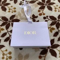 DIOR ショップ袋 ショッパー ホワイト