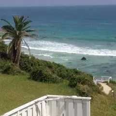 ayum様専用ページ