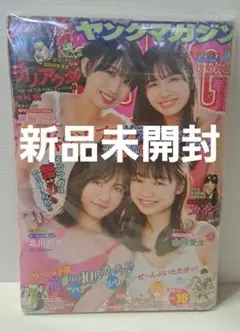 (新品)週刊ヤングマガジン　2022.4.4