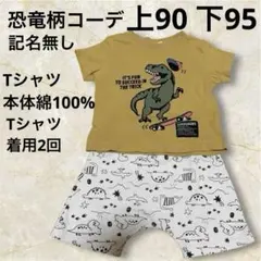恐竜　半袖　半ズボンTシャツ　ボトムス　上90 下95 男の子　春夏　まとめ売り