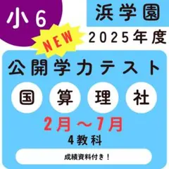 浜学園　小６　公開学力テスト　★３教科★　2023年～2017年　７年分 浜学園小62021年〜2023年度 3年分4科目公開学力テスト