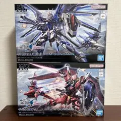 HG ライジングフリーダム HG イモータルジャスティス ガンプラ　1/144