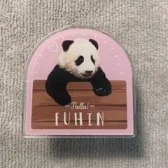 Item thumbnail for item 578db61b-178c-4828-b5e9-5c86b90ffd06