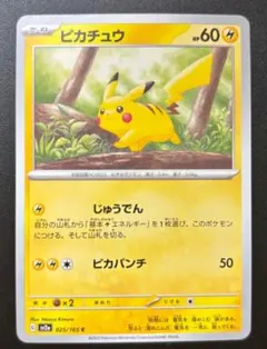2026年最新】153/PCG-P ピカチュウの人気アイテム - メルカリ