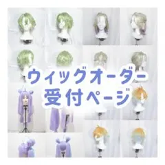 【オーダー受付】コスプレウィッグ 制作 カット セット 代行 お急ぎ可能 3月末