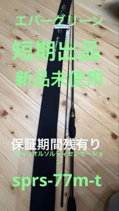 2026年最新】EVERGREEN ロッドの人気アイテム - メルカリ