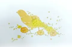 【原画アレンジ　手仕事】カナリア　花々　ポストカード