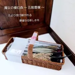 Item thumbnail for item 5b352096-a558-4e6c-9073-46968620a864