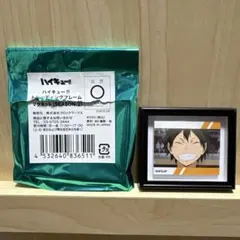 ハイキュー!! マグネット 山口忠