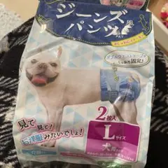 Item thumbnail for item 40255152-090e-4558-bf40-c18076841dc7