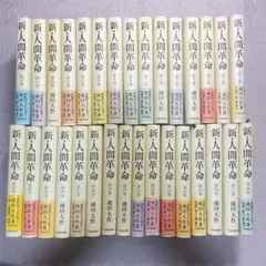 【全30巻・31冊セット】新・人間革命 池田大作 ※書き込み・汚れありのサムネイル