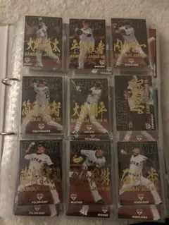 プロ野球チップス　カード　セット