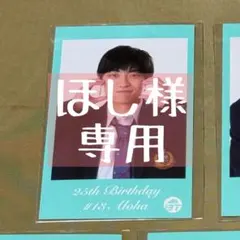 【ほし様専用】超特急 アロハ ミニフォト