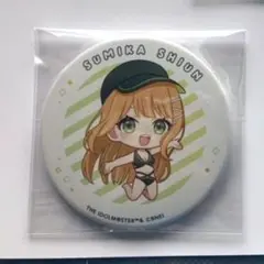紫雲清夏　缶バッジ　海の家　スイパラ