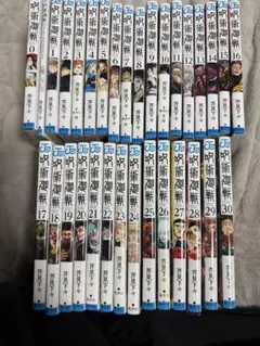 カ*ス様 呪術廻戦 全巻セット (0-30巻)