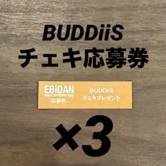 EBiDAN Visual Dictionary BUDDiiS チェキ　応募券