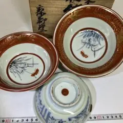 2026年最新】鉢 三 伊万里の人気アイテム - メルカリ