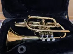 Item thumbnail for item 98d2de80-60ee-41d1-ac8a-969087fc8148