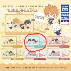 ハイキュー!!×サンリオキャラクターズ NUNOPOでらっくす 及川徹 岩泉一