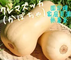 パンケーキ様 リクエスト 9点 まとめ商品