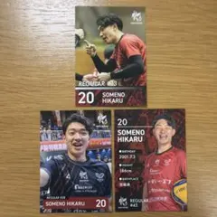 ヴォレアス北海道 トレーディングカード 山岸隼 4枚セット - メルカリ