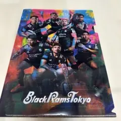 Item thumbnail for item 6f67bc73-ec91-4e9d-93dc-fb3873b0a8a7