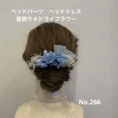 ヘッドパーツ　ヘッドドレス　髪飾り＊ドライフラワー　ブルーホワイト　シルバー