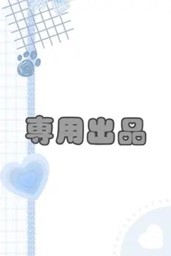 専用出品