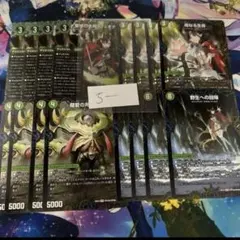 パンドラウォーズ 聖域の太母フィオナ 自然のデュエリスト 4枚 4セット