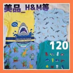 美品』H&M等 キッズ半袖Tシャツ 120 サメ カメ アニマル動物 4枚セット