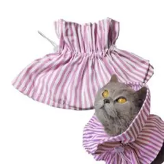 Item thumbnail for item 4d92dbd0-97d6-442e-9785-9c1eb14d8d04