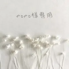 ❁﻿momo様専用ページ❁﻿
