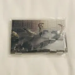ライブラリーオブルイナ ローラン 背景アクリルスタンド ハムハム