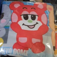 RIIZE 東京ドーム アプグレ ブランケット