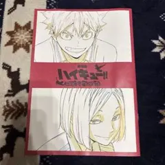 劇場版ハイキュー ゴミ捨て場の決戦 特典 原画集