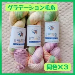 毛糸　手染め　グラデーション　 ３カセ　3本　セット　100ｇ×３ まとめ売り