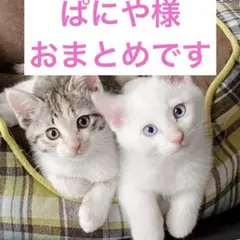 ぱにや#プロフ必読様 リクエスト 5点 まとめ商品